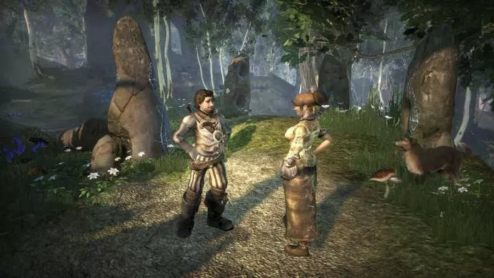 Fable 2 - Xbox 360
