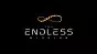 The Endless Mission PC