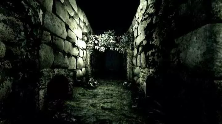 Resident Evil Umbrella - Wii