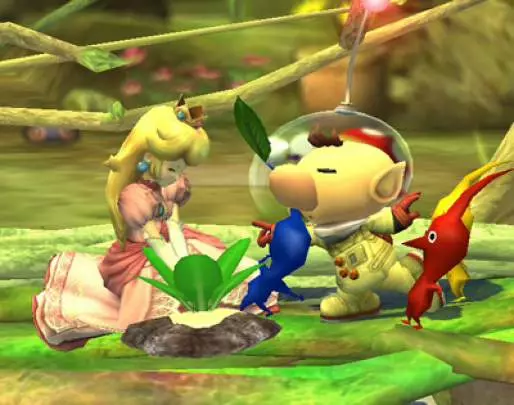 Super Smash Bros. Brawl