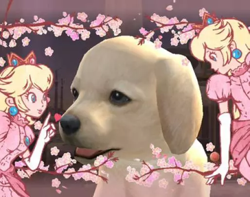 Super Smash Bros. Brawl