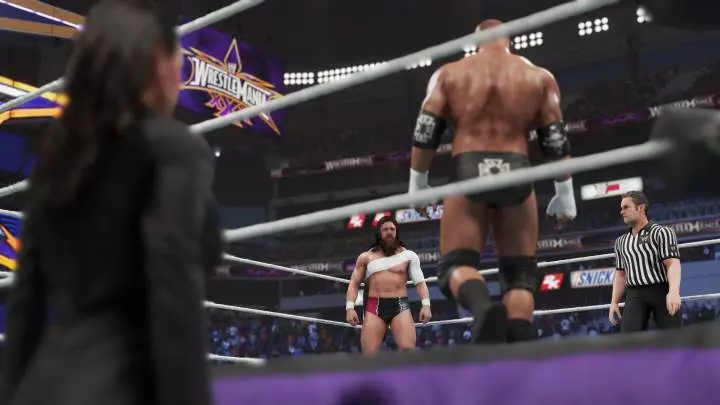 WWE 2K19 - PC