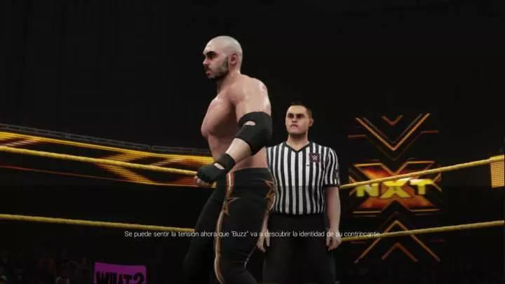 WWE 2K19