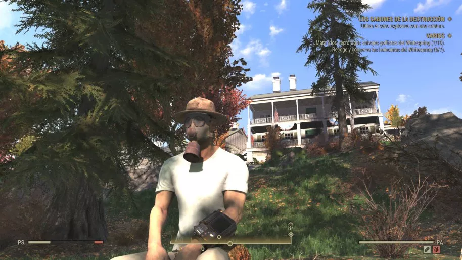 Fallout 76 PC