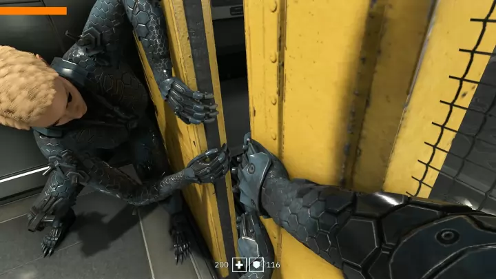 Wolfenstein Youngblood - PC