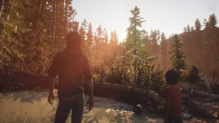 Life is Strange 2 - PC