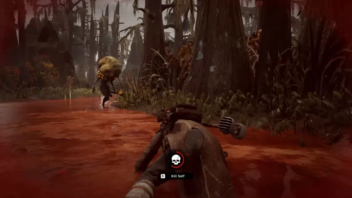 Remnant From the Ashes - PC