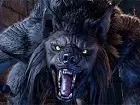 The Elder Scrolls Online: Wolfhunter