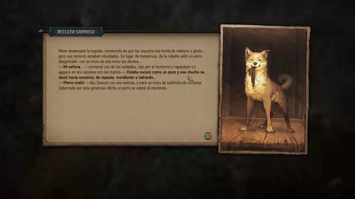 Thronebreaker The Witcher Tales - PC