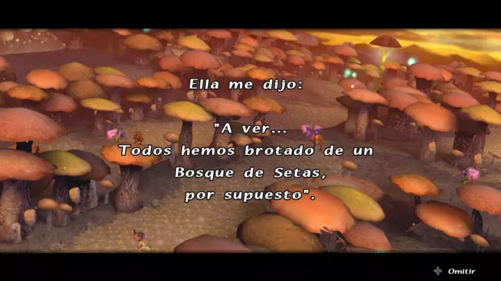 Final Fantasy Crystal Chronicles