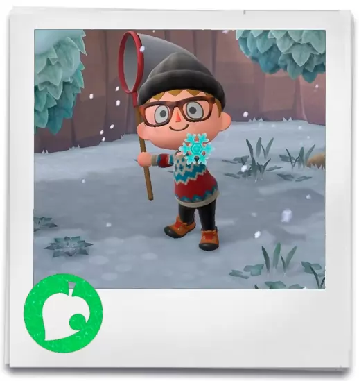 Animal Crossing New Horizons Nintendo Switch