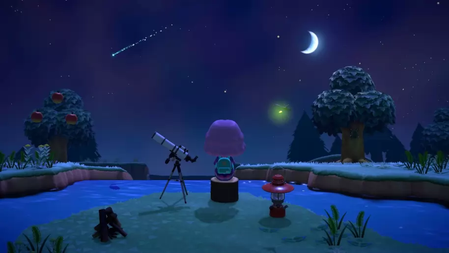 Animal Crossing New Horizons Nintendo Switch