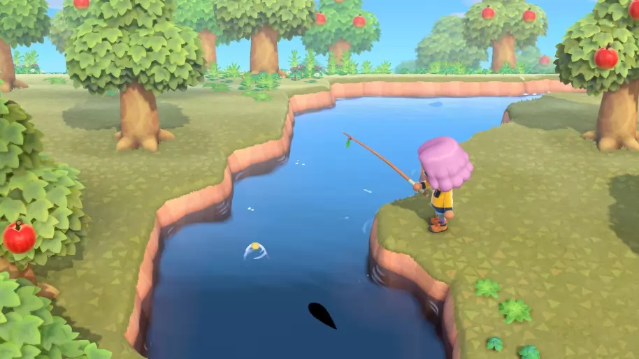 Animal Crossing New Horizons Nintendo Switch