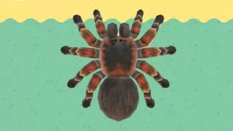 Animal Crossing: New Horizons ha reducido la aparición de ciertos bichos en su reciente actualización