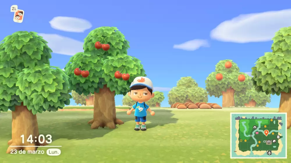 Frutas ajenas a tu isla te darán las mejores ganancias