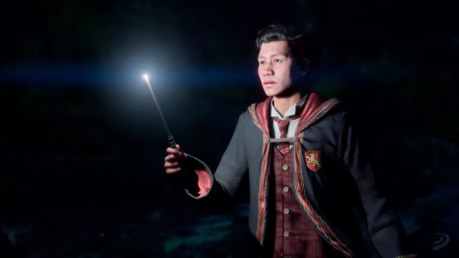 Harry Potter Hogwarts Legacy PS5