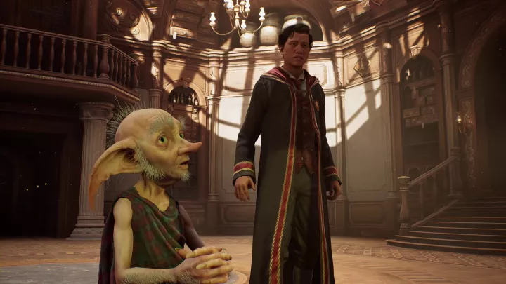 Hogwarts Legacy - PC