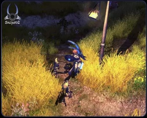 Sacred 2: Fallen Angel