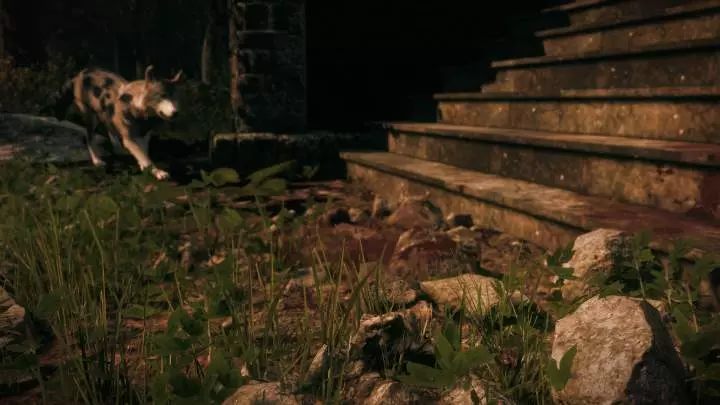 Maid of Sker - Nintendo Switch