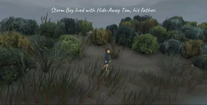 Storm Boy - Nintendo Switch