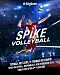 Spike Volleyball
