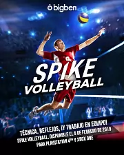 Spike Volleyball