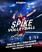Spike Volleyball