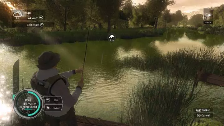 Pro Fishing Simulator