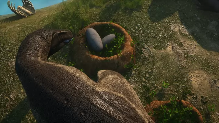 Beasts of Bermuda - PC