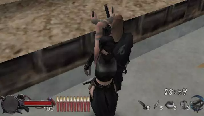 Tenchu Time Of The Assassins