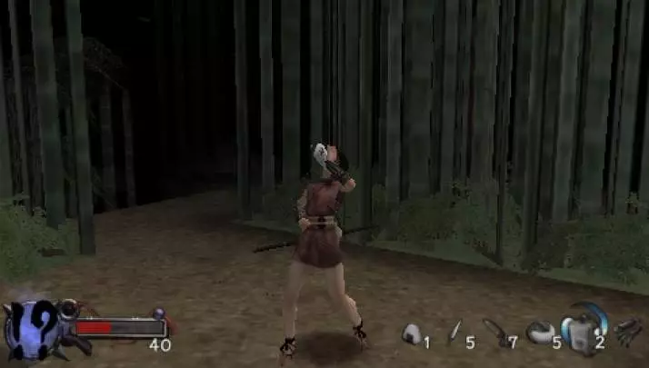 Tenchu Time Of The Assassins