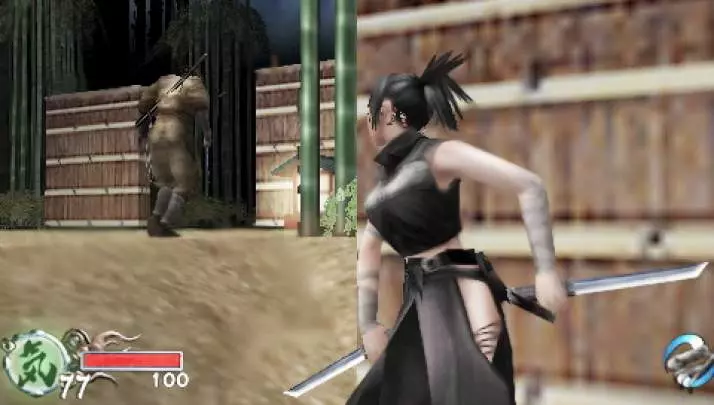 Tenchu Time Of The Assassins
