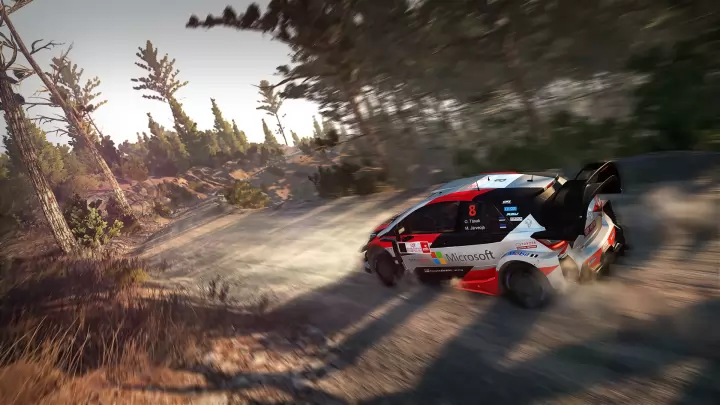WRC 8 - Nintendo Switch