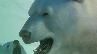 Ya disponible Artick Pack, el nuevo DLC de Planet Zoo que nos lleva por gélidos territorios