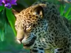 Conoce los contenidos de South America Pack, el segundo DLC de Planet Zoo