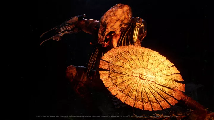 Predator Hunting Grounds - PS4