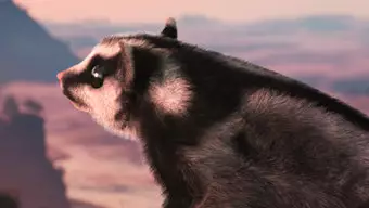 Esta aventura de supervivencia animal a modo documental llegará a Xbox One en 2021, y estrena tráiler