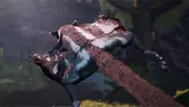 Away: The Survival Series llegará a Xbox One: tráiler de anuncio de esta aventura de naturaleza y animales