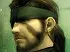 MGS3 Subsistence