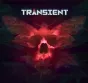 Transient Nintendo Switch