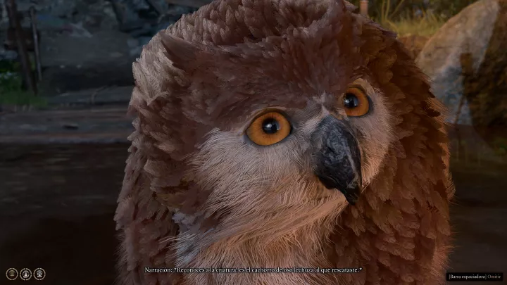 Baldur's Gate 3 - PC