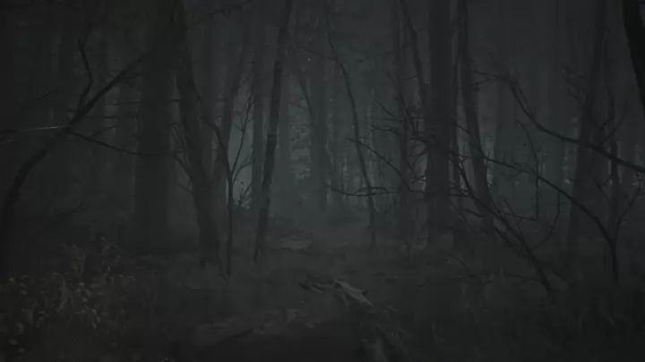 Blair Witch - PC