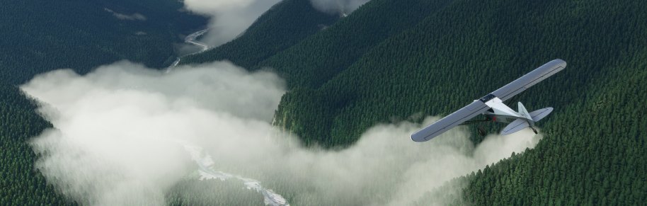 Microsoft Flight Simulator PC