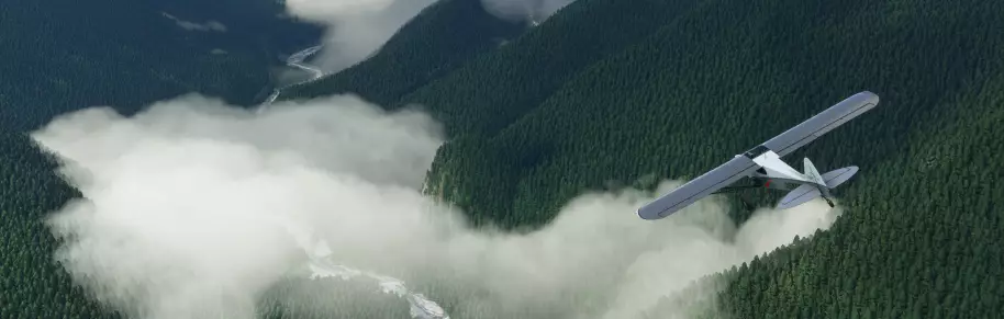 Microsoft Flight Simulator PC