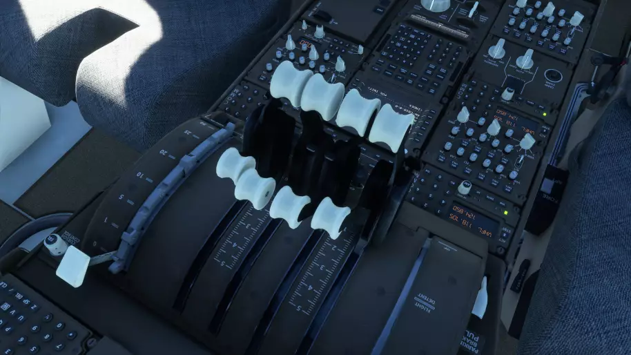 Microsoft Flight Simulator
