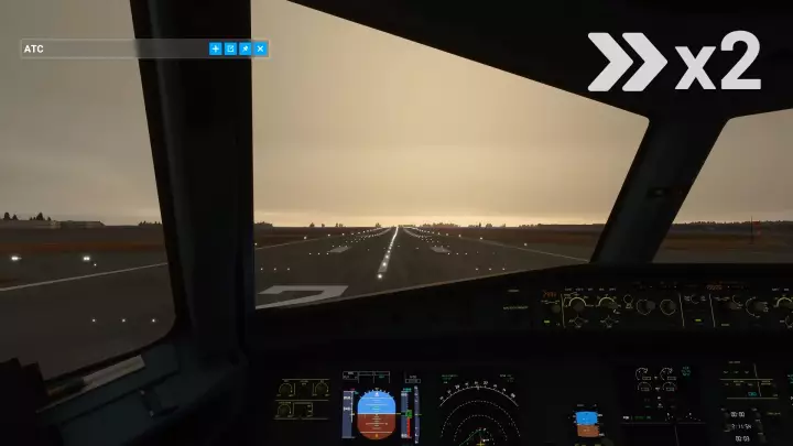 Microsoft Flight Simulator