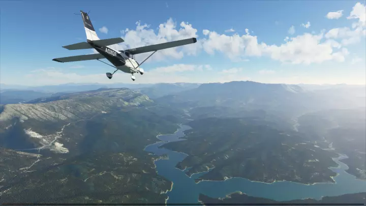 Microsoft Flight Simulator