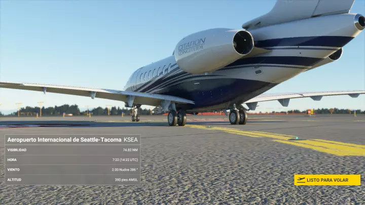 Microsoft Flight Simulator - PC