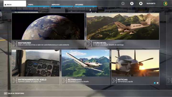 Microsoft Flight Simulator
