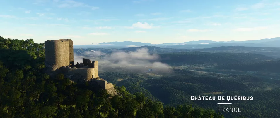 Microsoft Flight Simulator